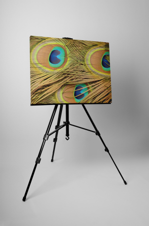 Tablou canvas : Pene de paun [2]