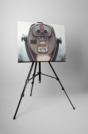 Tablou canvas : Binoclu sofisticat [2]