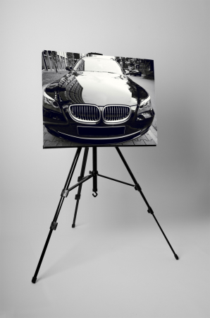 Tablou canvas : BMW stralucitor [2]