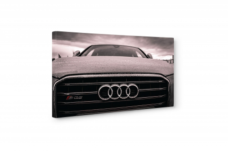 Tablou canvas : Patru inele [4]