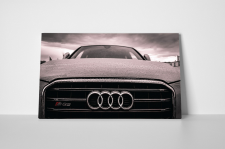 Tablou canvas : Patru inele [1]
