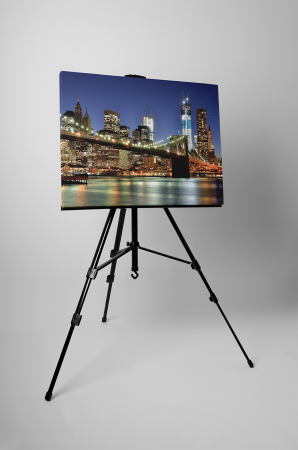 Tablou canvas : New York [1]