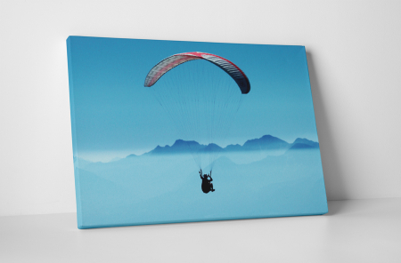 Tablouri Canvas - Tablou canvas : Parapanta