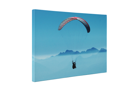 Tablou canvas : Parapanta [4]