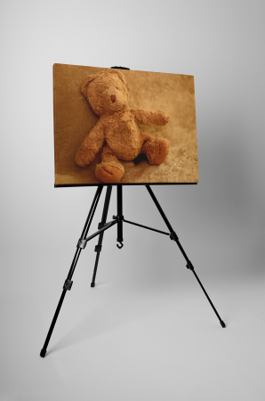 Tablou canvas : Ursulet de plus [2]