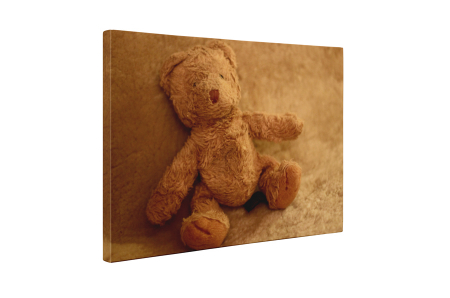 Tablou canvas : Ursulet de plus [4]