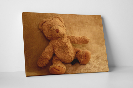 Tablouri Canvas - Tablou canvas : Ursulet de plus