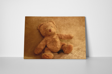 Tablou canvas : Ursulet de plus [1]