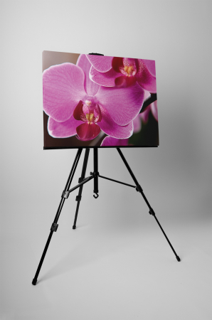 Tablou canvas : Florile orhideei [2]