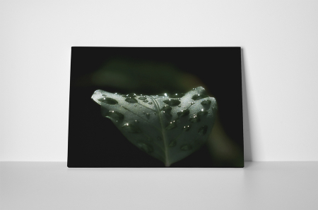 Tablou canvas : Roua [1]