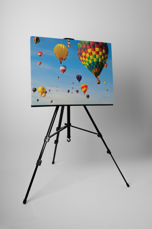 Tablou canvas : Balon cu aer cald [2]