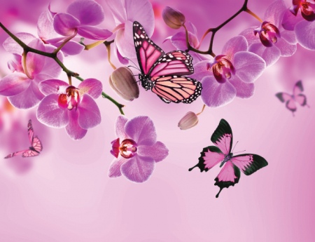 Tablou canvas : Fluturi roz [3]
