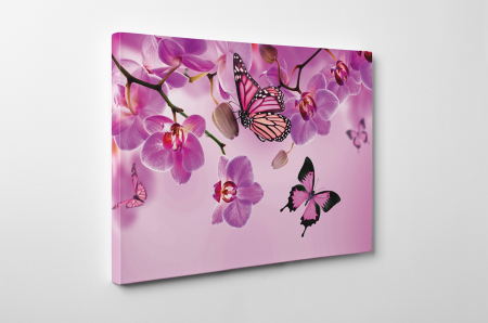Tablou canvas : Fluturi roz [4]