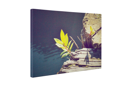 Tablou canvas : Viata inflorita [4]
