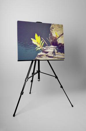 Tablou canvas : Viata inflorita [2]