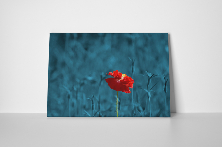 Tablou canvas : Floare speciala [1]