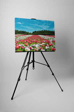 Tablou canvas : Campul colorat [2]