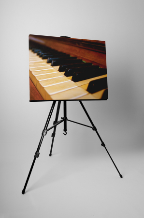Tablou canvas : Pianul [2]