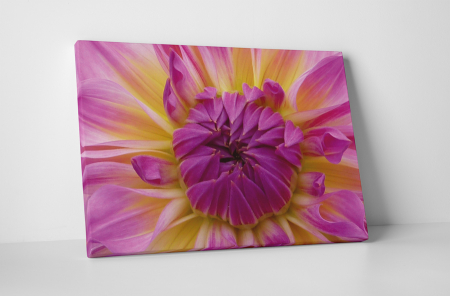 Tablouri Canvas - Tablou canvas : Boboc de floare