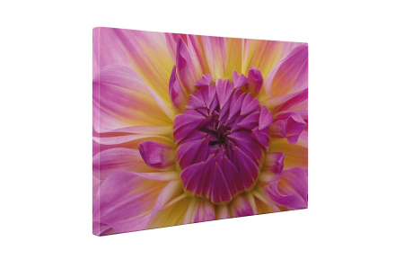 Tablou canvas : Boboc de floare [4]