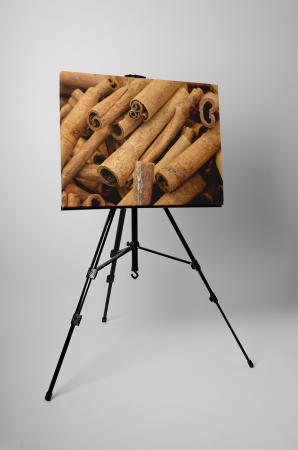 Tablou canvas : Scortisoara [2]