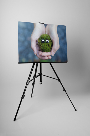 Tablou canvas : Monstrulet verde [2]