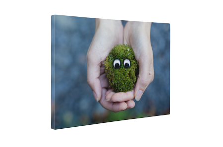 Tablou canvas : Monstrulet verde [4]