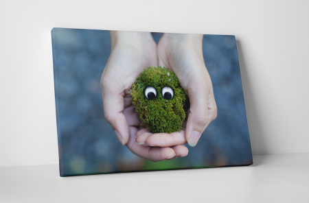 Tablouri Canvas - Tablou canvas : Monstrulet verde