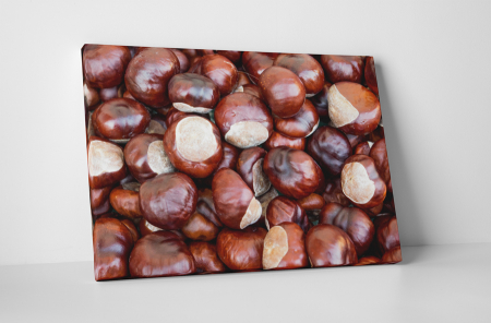 Natură - Tablou canvas : Castane
