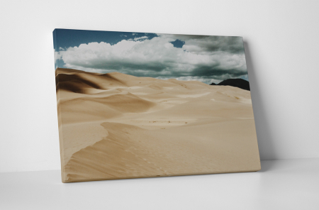 Peisaje - Tablou canvas : In desert