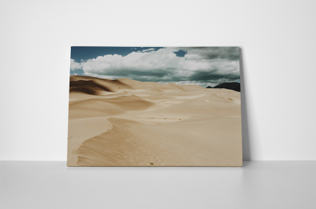 Tablou canvas : In desert [1]