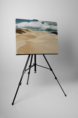 Tablou canvas : In desert [2]