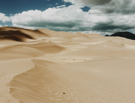 Tablou canvas : In desert [3]