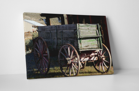 Retro - Tablou canvas : Caruta