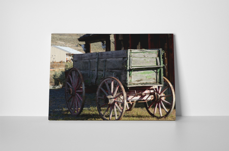 Tablou canvas : Caruta [1]