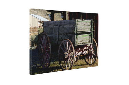 Tablou canvas : Caruta [4]