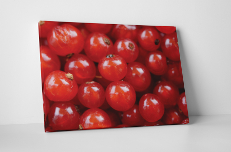 Gastronomie - Tablou canvas : Coacaze
