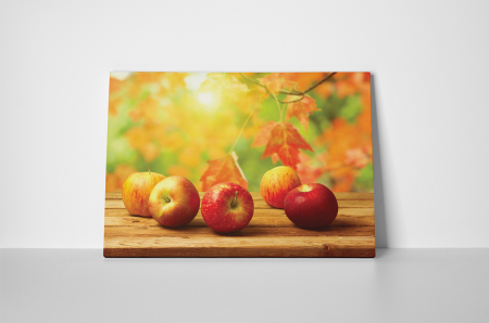 Tablou canvas : Toamna [1]