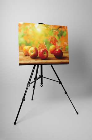 Tablou canvas : Toamna [2]