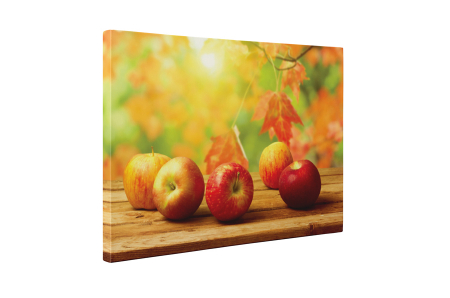 Tablou canvas : Toamna [4]