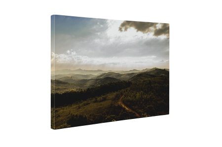 Tablou canvas : Dealuri [4]
