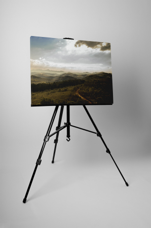 Tablou canvas : Dealuri [2]