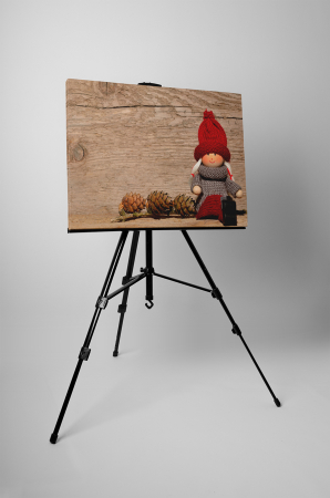 Tablou canvas : Papusa de jucarie [2]