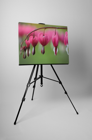 Tablou canvas : Lacrima inimioarei [2]