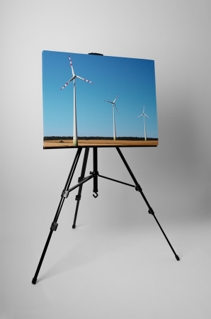 Tablou canvas : Puterea vantului [2]