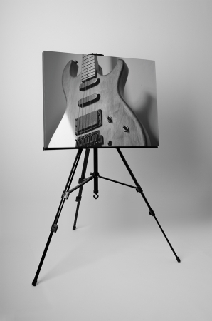 Tablou canvas : Chitara electrica [2]