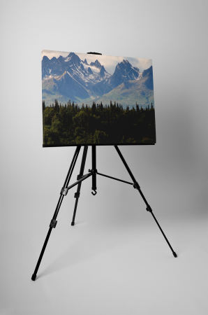 Tablou canvas : Munti inalti [2]