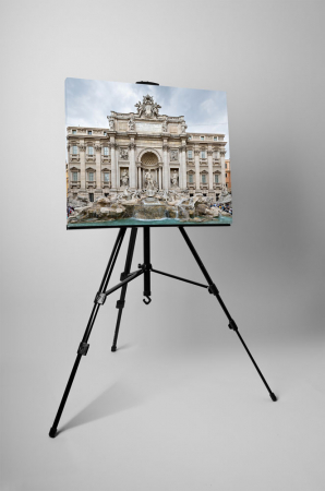Tablou canvas : Fontana di Trevi [2]