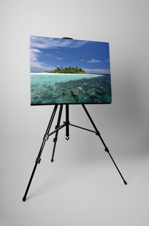 Tablou canvas : Insula [2]