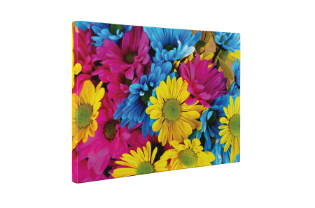 Tablou canvas : Flori colorate [4]